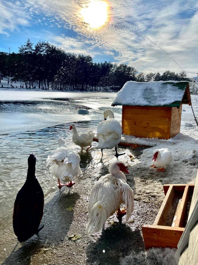 Lux Apartmani Vojinovic Zlatibor Exterior foto